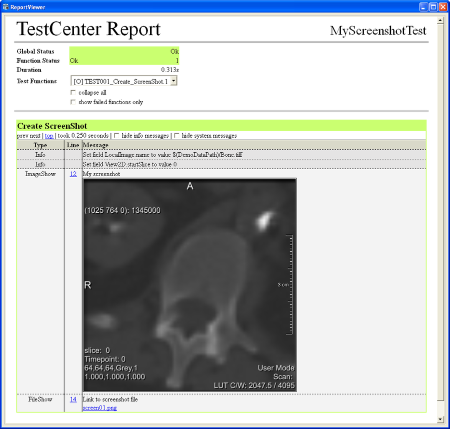 Report for ScreenShot Example